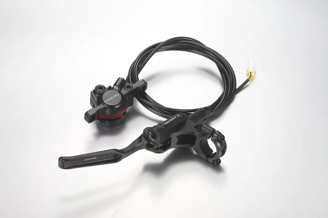 E-RIDE PRO MINI/MINI R COMPLETE REAR BRAKE SYSTEM