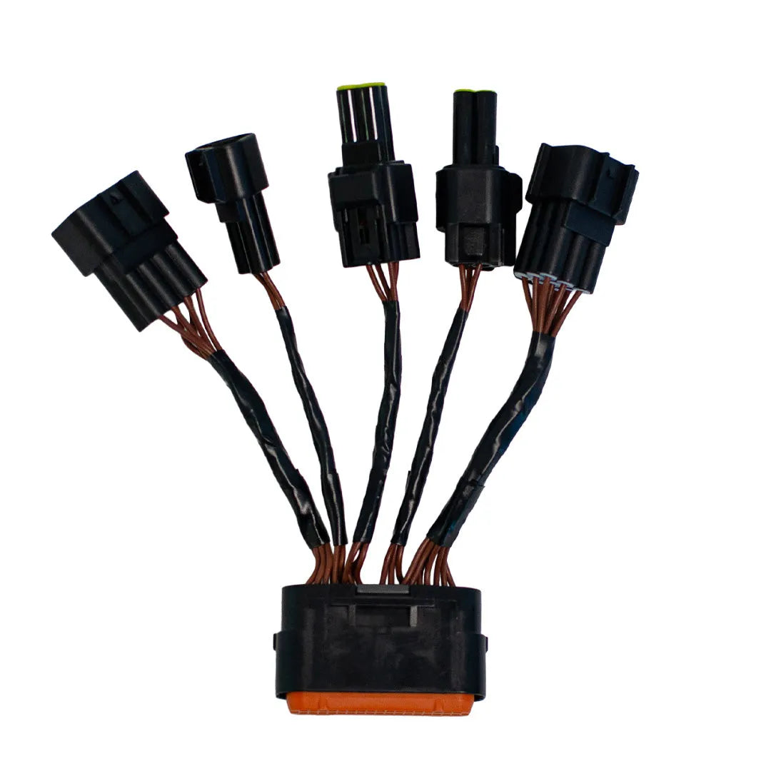 TORP Replacement Wiring Loom For Sur Ron Light Bee