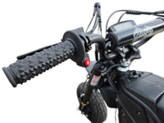 Electro & Co The Rizzler Bike