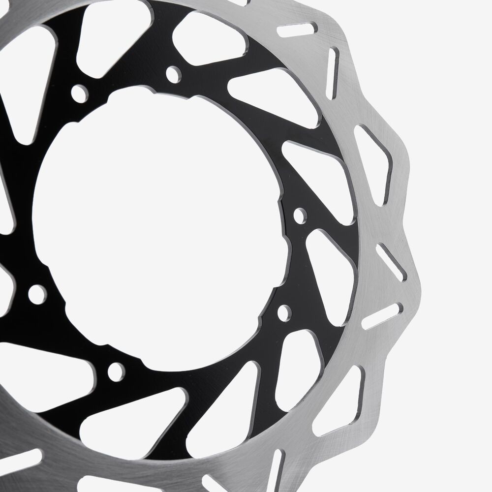Rear Brake Disc