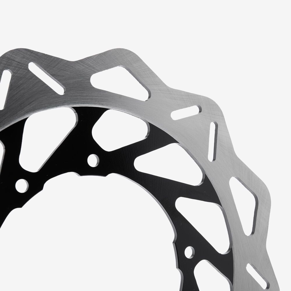 Rear Brake Disc