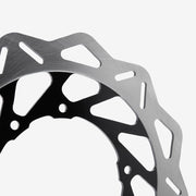 Rear Brake Disc