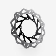 Rear Brake Disc