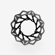 Rear Brake Disc