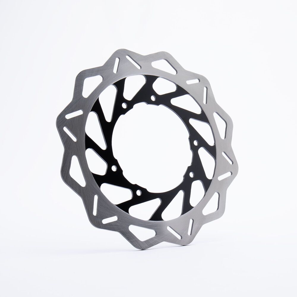 Rear Brake Disc