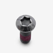 Disc Bolt
