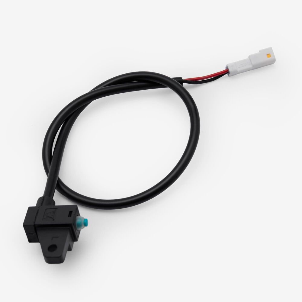 Rear Brake Switch