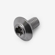 Bolt M6 x 10mm