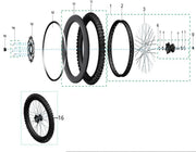 Disc Bolt