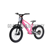 REVVI 20” ELECTRIC BIKE PRE ORDER