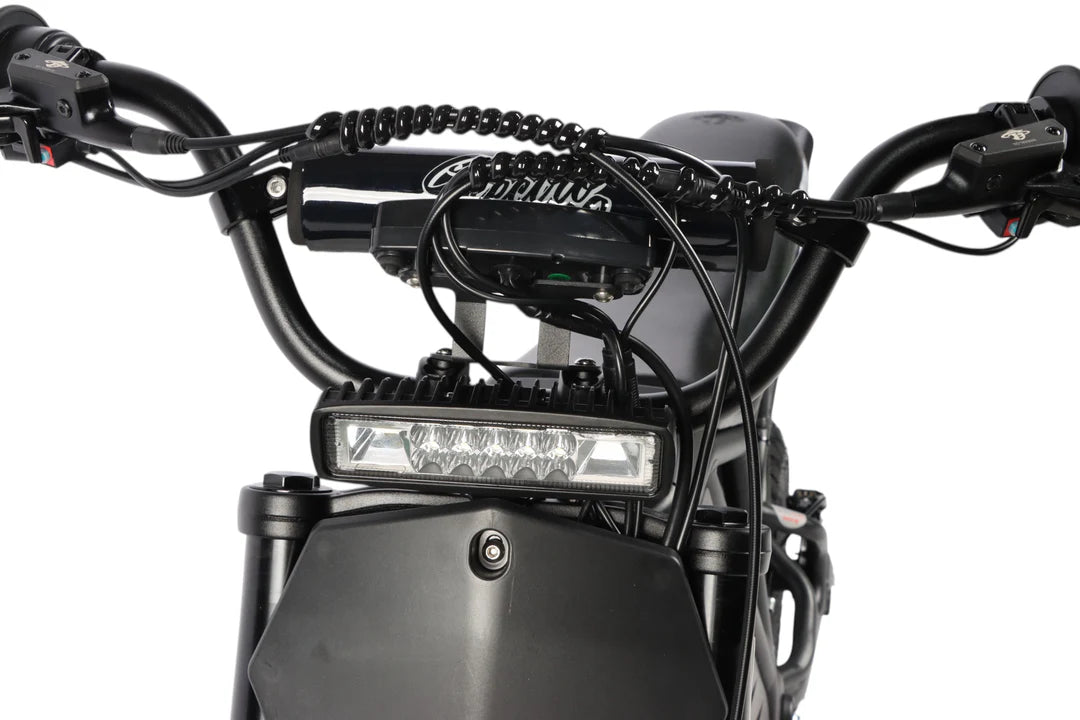 Electro & Co The Rizzler Bike