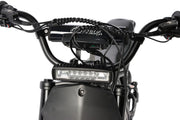 Electro & Co The Rizzler Bike