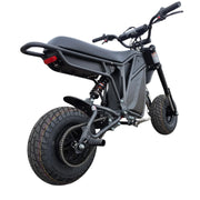 Electro & Co The Rizzler Bike