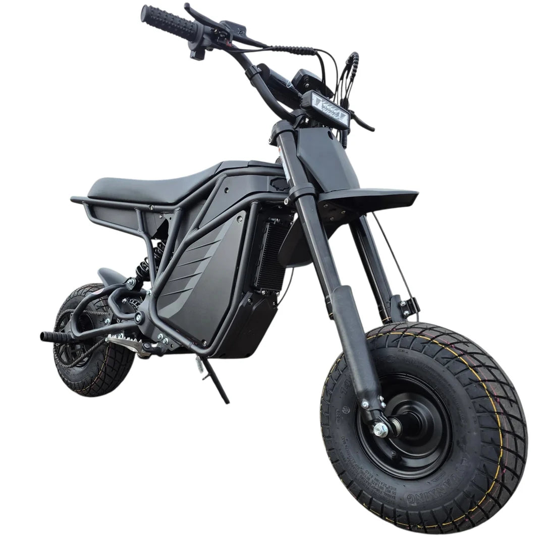 Electro & Co The Rizzler Bike