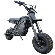 Electro & Co The Rizzler Bike