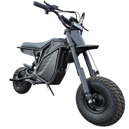 Electro & Co The Rizzler Bike