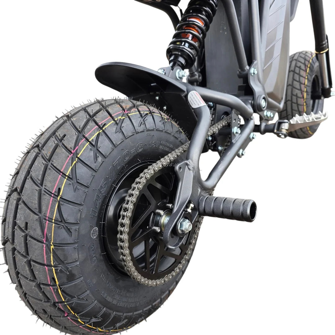 Electro & Co The Rizzler Bike