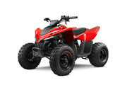 CF MOTO - CFORCE 110 Junior