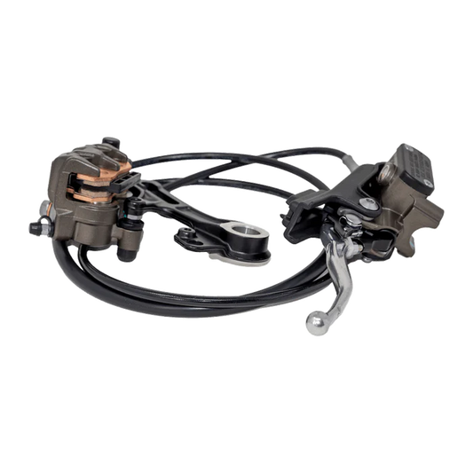 Sur-Ron Ultra Bee Complete Rear Brake Assembly