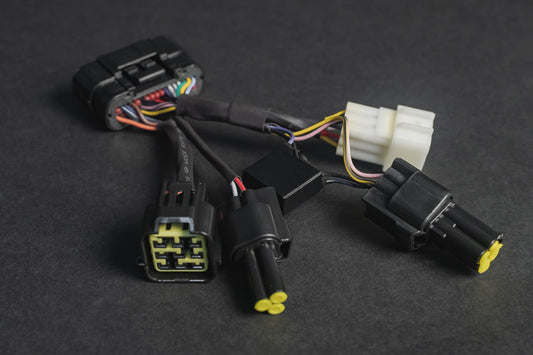Torp Replacement Wiring Loom For TALARIA STING