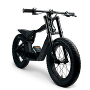 STACYC 16HDRIVE
