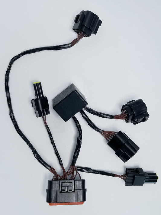 Torp Replacement Wiring Loom For SurRon Ultra Bee