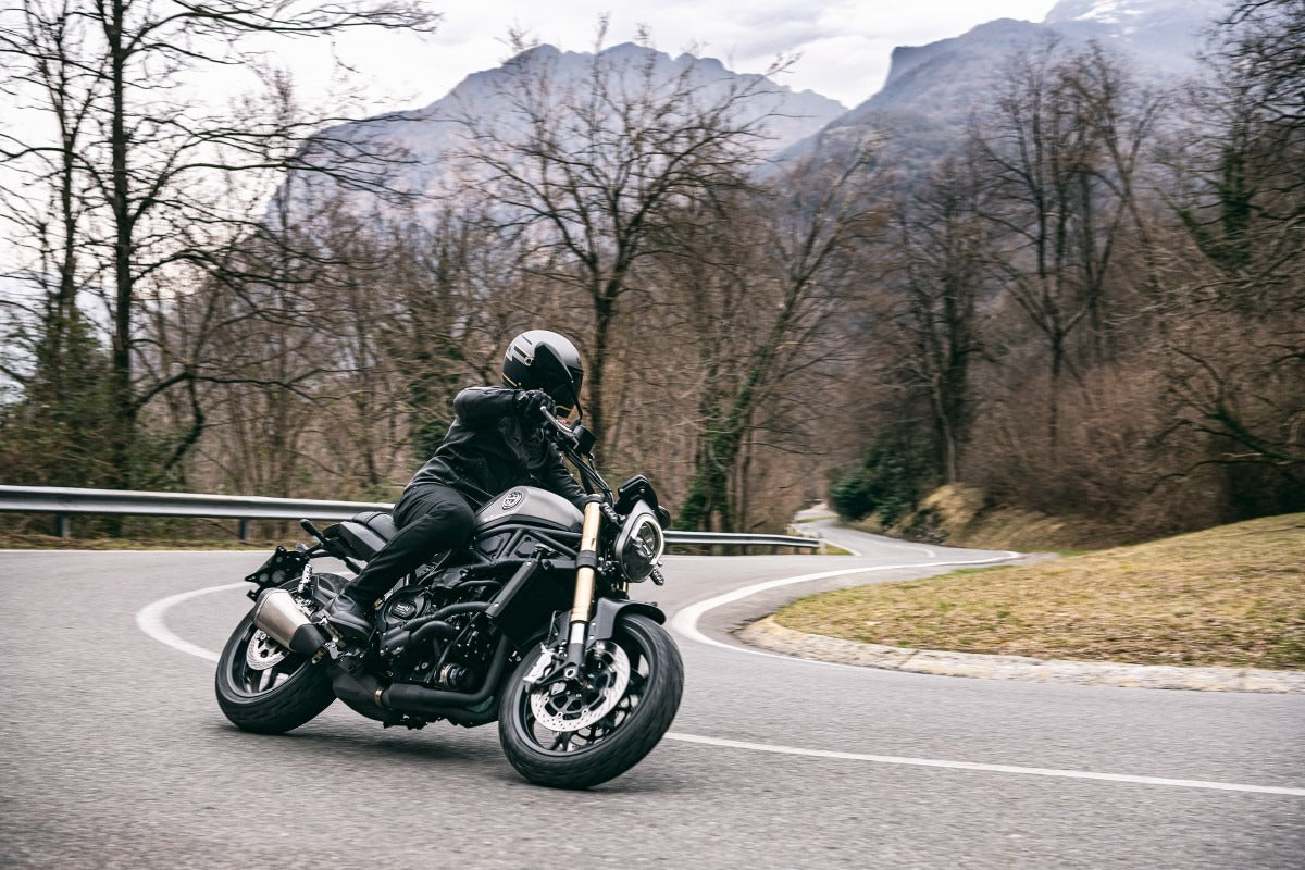 Benelli Leoncino 800
