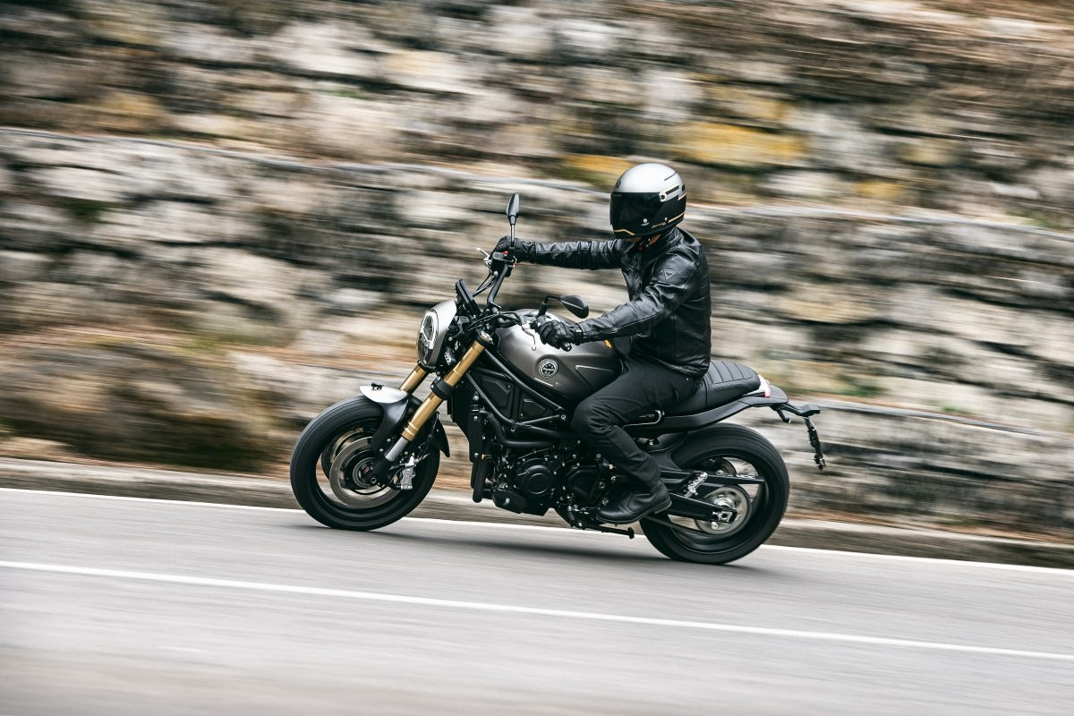 Benelli Leoncino 800