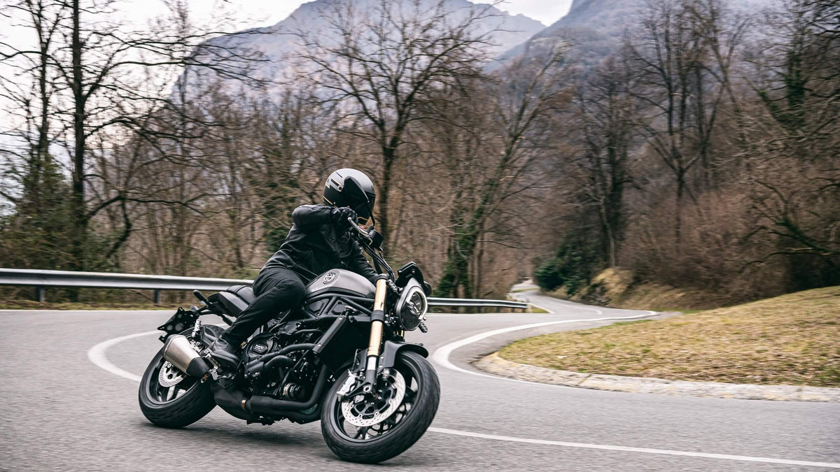 Benelli Leoncino 800