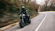 Benelli Leoncino 800