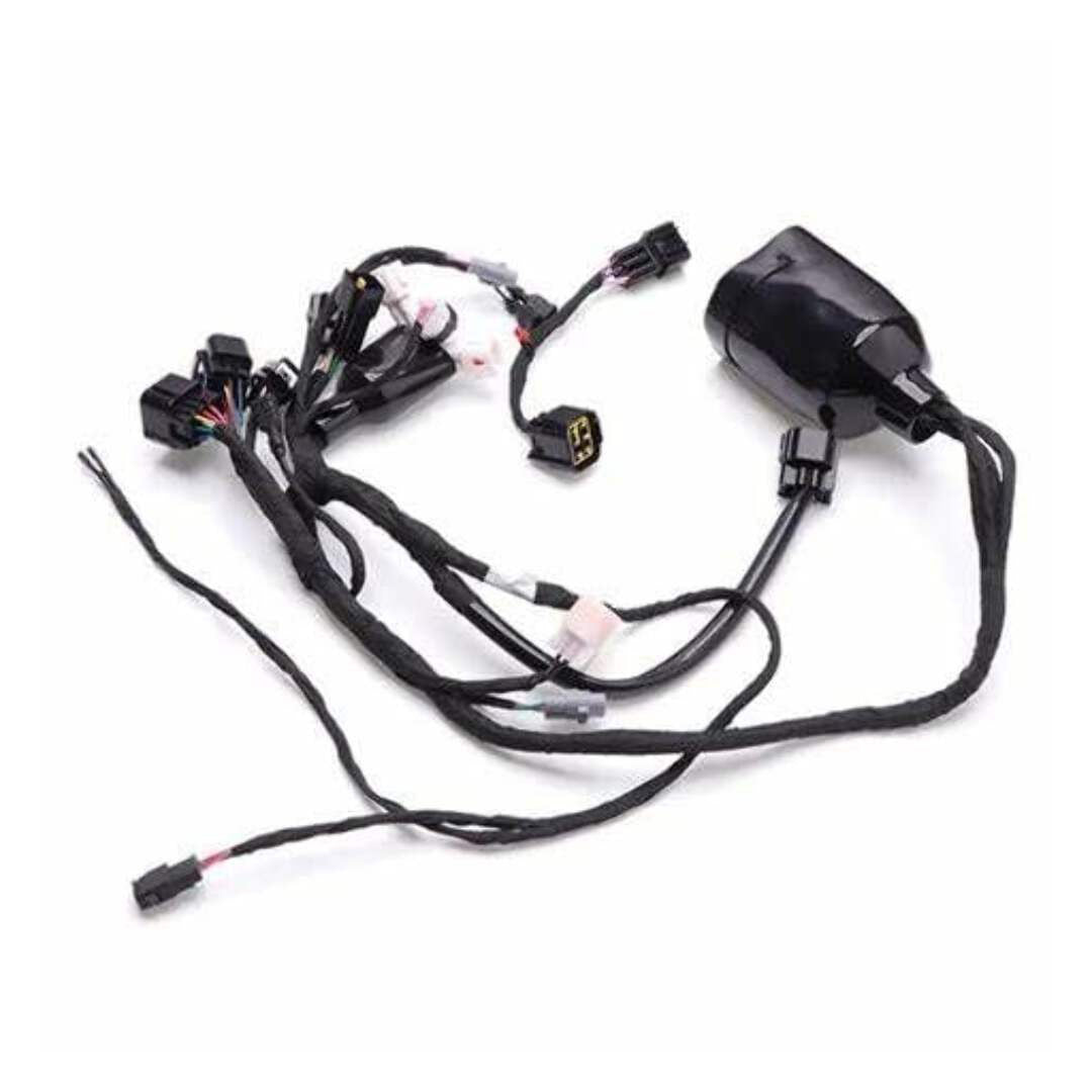 COMPLETE WIRING LOOM FOR SUR RON L1E