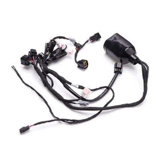 COMPLETE WIRING LOOM FOR SUR RON L1E