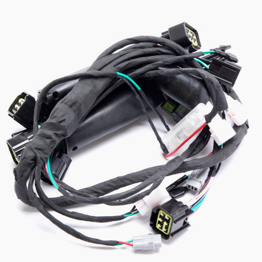 Full-E Charged Wiring Loom for Light Bee