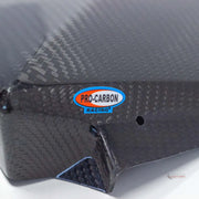 Pro-Carbon Racing Talaria Genuine Carbon Fibre Number Board (Triangle)