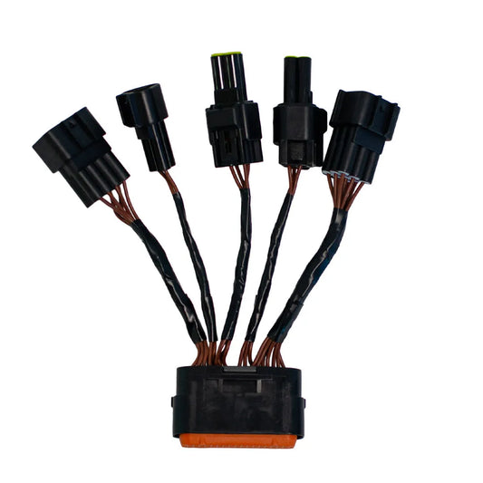 TORP Replacement Wiring Loom For Sur Ron Light Bee