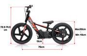 *OCTOBER PRE-ORDER* REVVI 16" ELECTRIC BALANCE BIKE *OCTOBER PRE-ORDER*