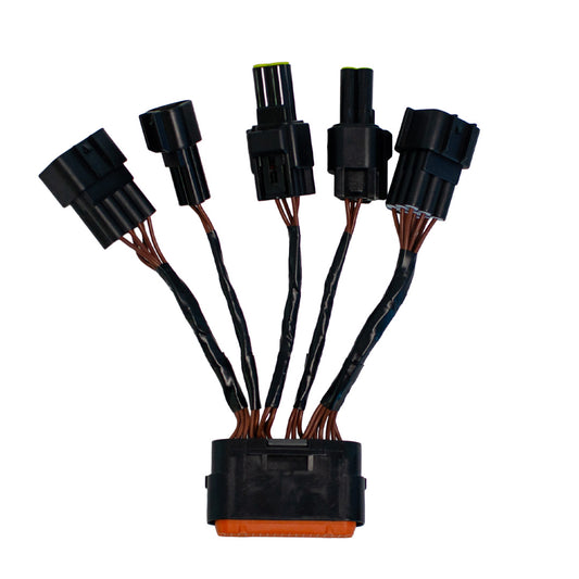 TORP Replacement Wiring Loom For Sur Ron Light Bee