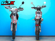 2026 GPX FSE 300 E LINKAGE